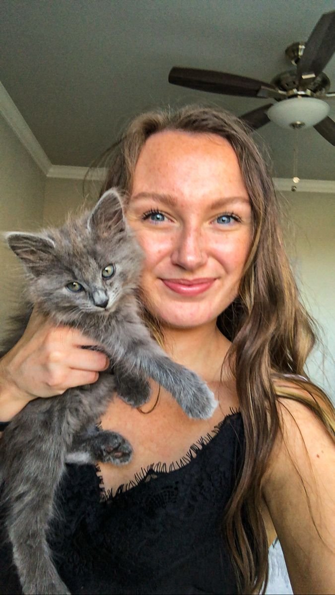 James Wilson with his Siberian kitten