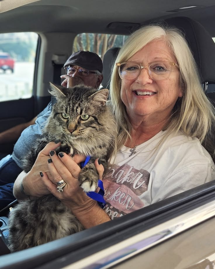 Michael Turner with his Siberian kitten
